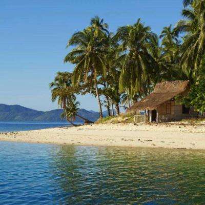 乐鱼app官网正式版下载app下载